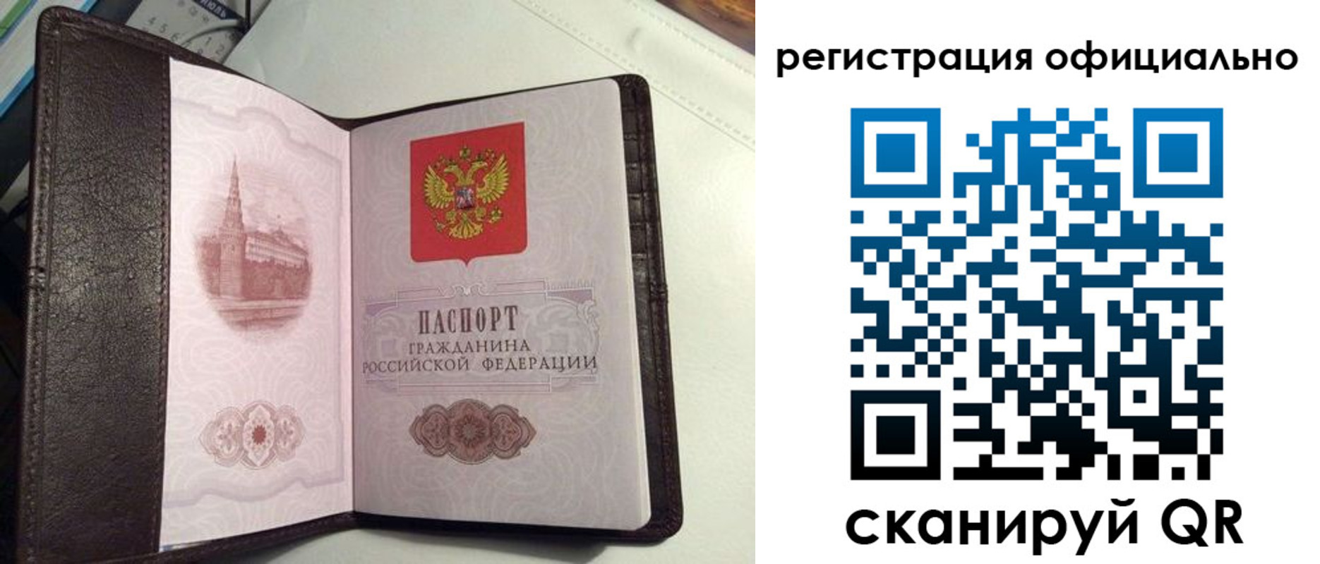 прописка ребенка в Всеволожске