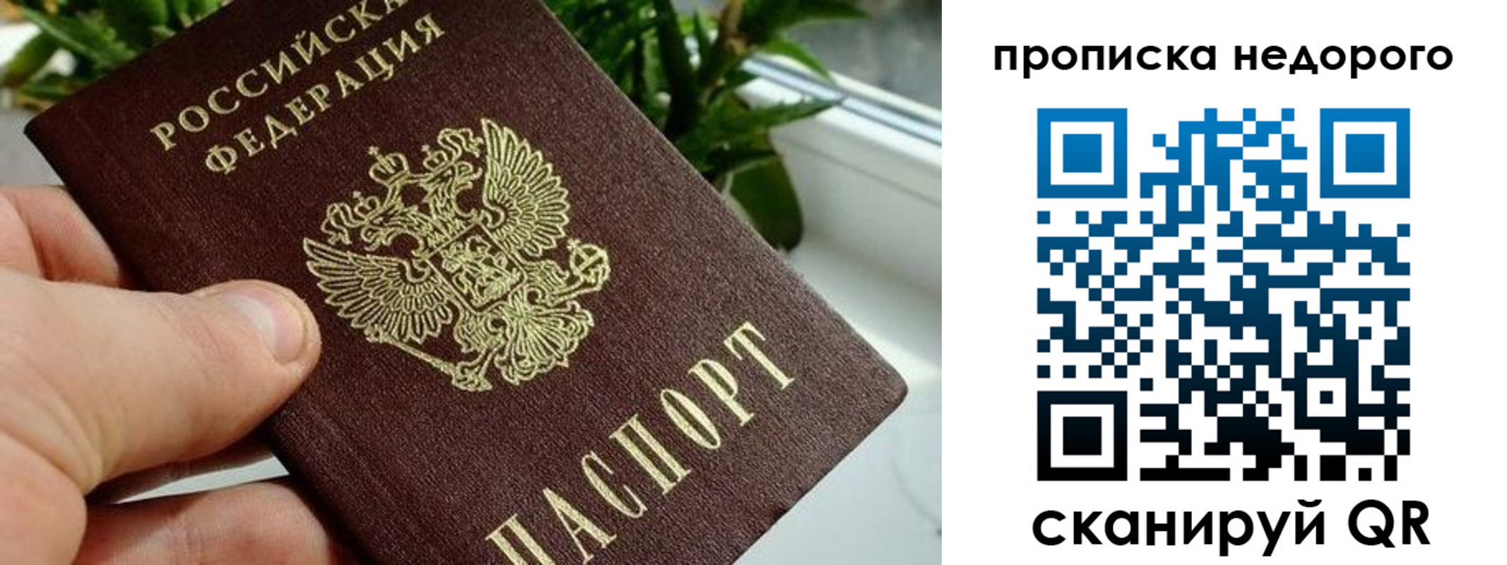 прописка для кредита в Всеволожске